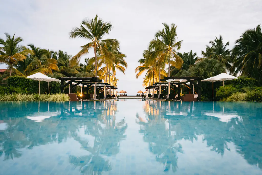 Palm trees reflected in the still water of the pool at first light